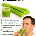 Los Increíbles Beneficios del Apio: ¿Por qué es Tan Popular?