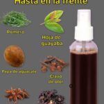 El secreto indio, para hacer crecer el cabello a una velocidad de cohete y tratar la calvicie desde la primera semana