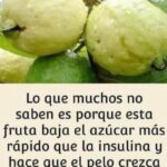 Guayaba: El Tesoro Nutricional que Debes Tener en Casa