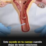 ¿Qué Le Sucede a Tu Cuerpo Cuando Dejas de Tener Relaciones Íntimas? Descúbrelo Aquí