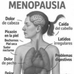Menopausia en Armonía: Síntomas, Remedios Naturales y Consejos para una Transición Feliz