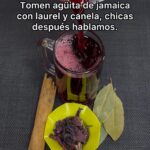 Té de Jamaica y Canela: el remedio natural que limpia, equilibra y fortalece tu cuerpo