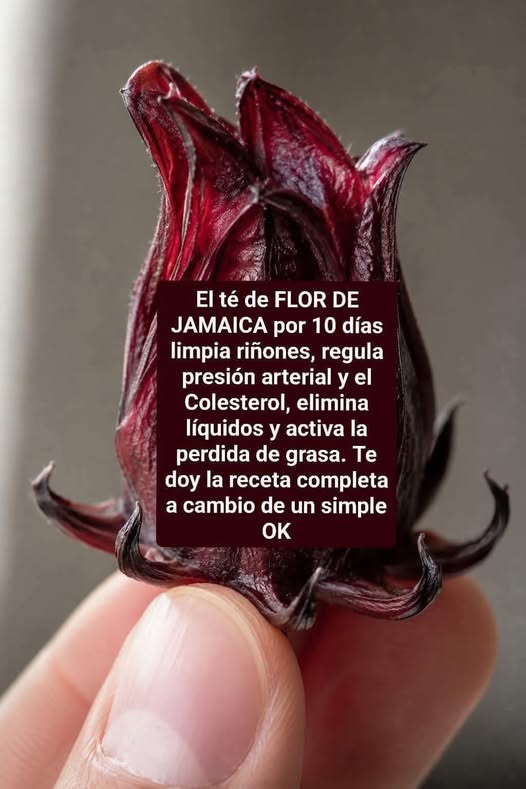 Té de hoja de jamaica por 10 días: lo que podría pasar en tu cuerpo